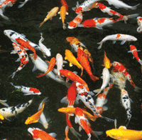 ptc energy efficient heaters