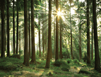 PTC energy efficient heaters